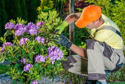 SSL encryption and safe payment processing for Tree Surgeons Barkingside