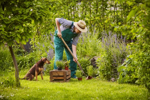 Inspection of tree health by a Barkingside arboriculture specialist