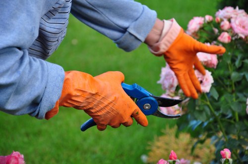 Arborist assessing a mature tree for a Barkingside quotation