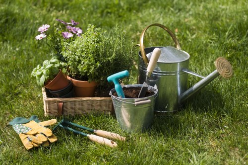 Professional tree removal service for homes and businesses in Barkingside