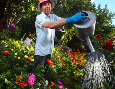 Professional tree surgery and pruning in a suburban Barkingside landscape