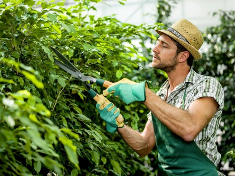 Modern secure payments page for Tree Surgeons Barkingside services