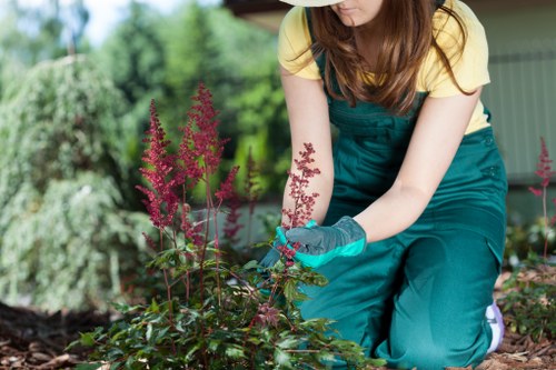 Accepted payment methods for Tree Surgeons Barkingside including card and PayPal