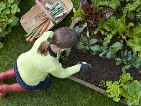 Local hedge trimming service for Barkingside properties