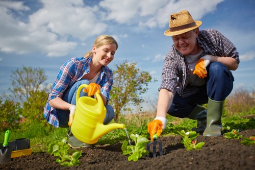 Local tree care specialists supporting healthy trees and tidy outdoor spaces in Barkingside