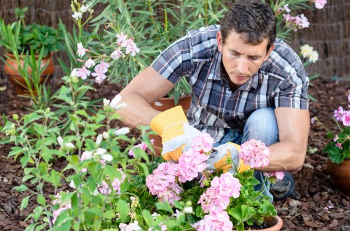 A professional arborist team with insurance and safety focus